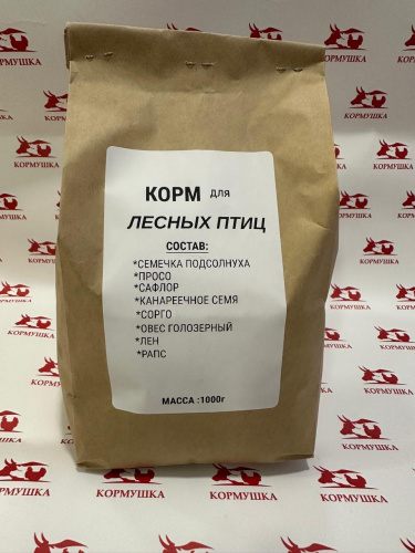 WhatsApp Image 2025-12-17 at 16.37.12