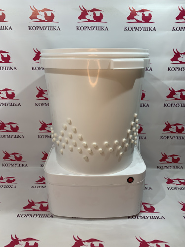 КОРМУШКА