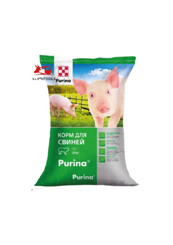 photo_5_2025-10-16_09-34-05