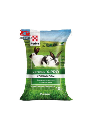 photo_7_2025-10-16_09-34-05