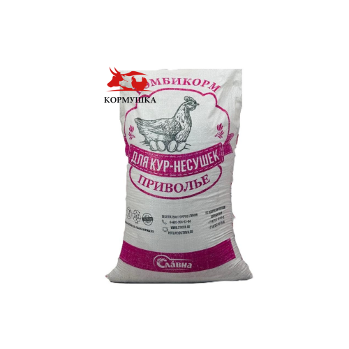 Креатив без названия (71)