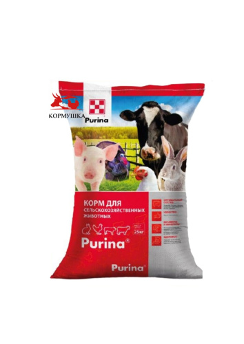 photo_6_2025-10-16_09-34-05