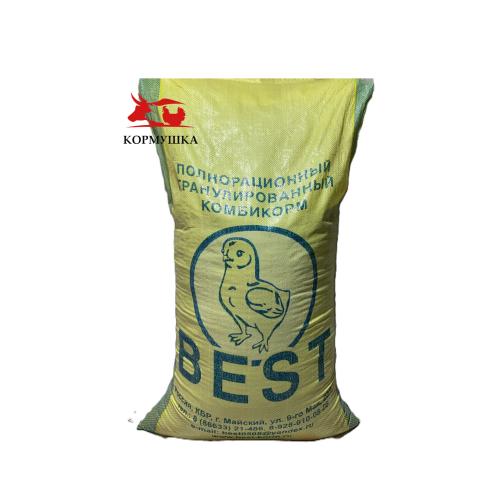 Креатив без названия (62)