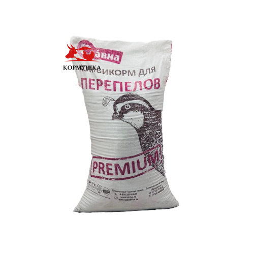 Креатив без названия (73)