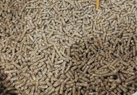 Молвест-ЭКОКОРМ Комбикорм ПК 1-2 для кур-несушек, гранула (25 кг./м.) 1кг***