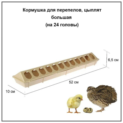 Кормушка для перепелов, цыплят большая ( на 24 головы ).