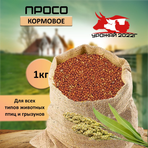 Просо кормовое (1кг/уп) 1шт ***