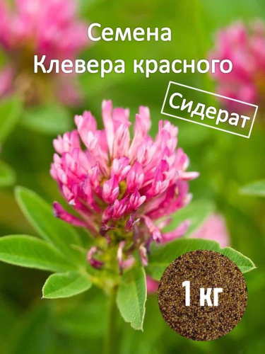 Семена Клевера (1кг/уп) 1шт