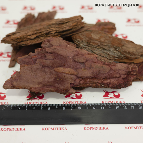 Кора лиственницы (фр. 6-10) 1 шт.