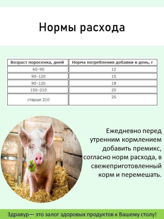 Премикс Здравур Боренька (600гр/уп) 1шт.