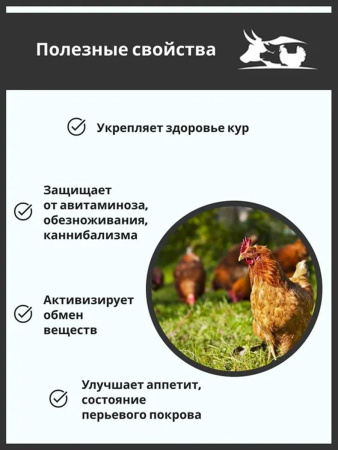 Премикс Здравур Несушка (1500гр/уп) 1шт.