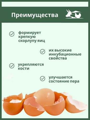 Скорлупа яичная ( 1,5 кг/уп ) 1 шт.